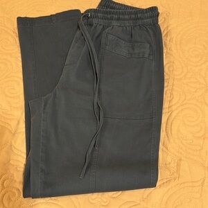 LOFT Blue Pants Cotton Pants with Elastic Waistband